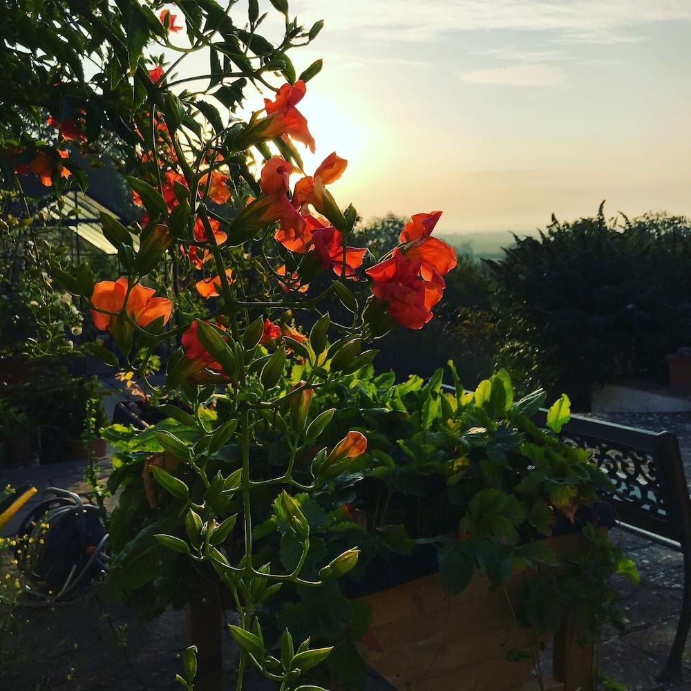 Hotel Shakespeare'S View Stratford-upon-Avon Esterno foto