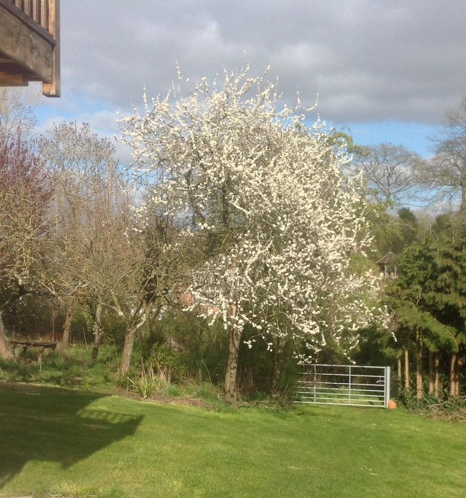 Hotel Shakespeare'S View Stratford-upon-Avon Esterno foto